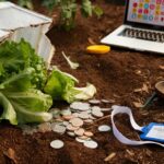 garden volunteer steals bingo money